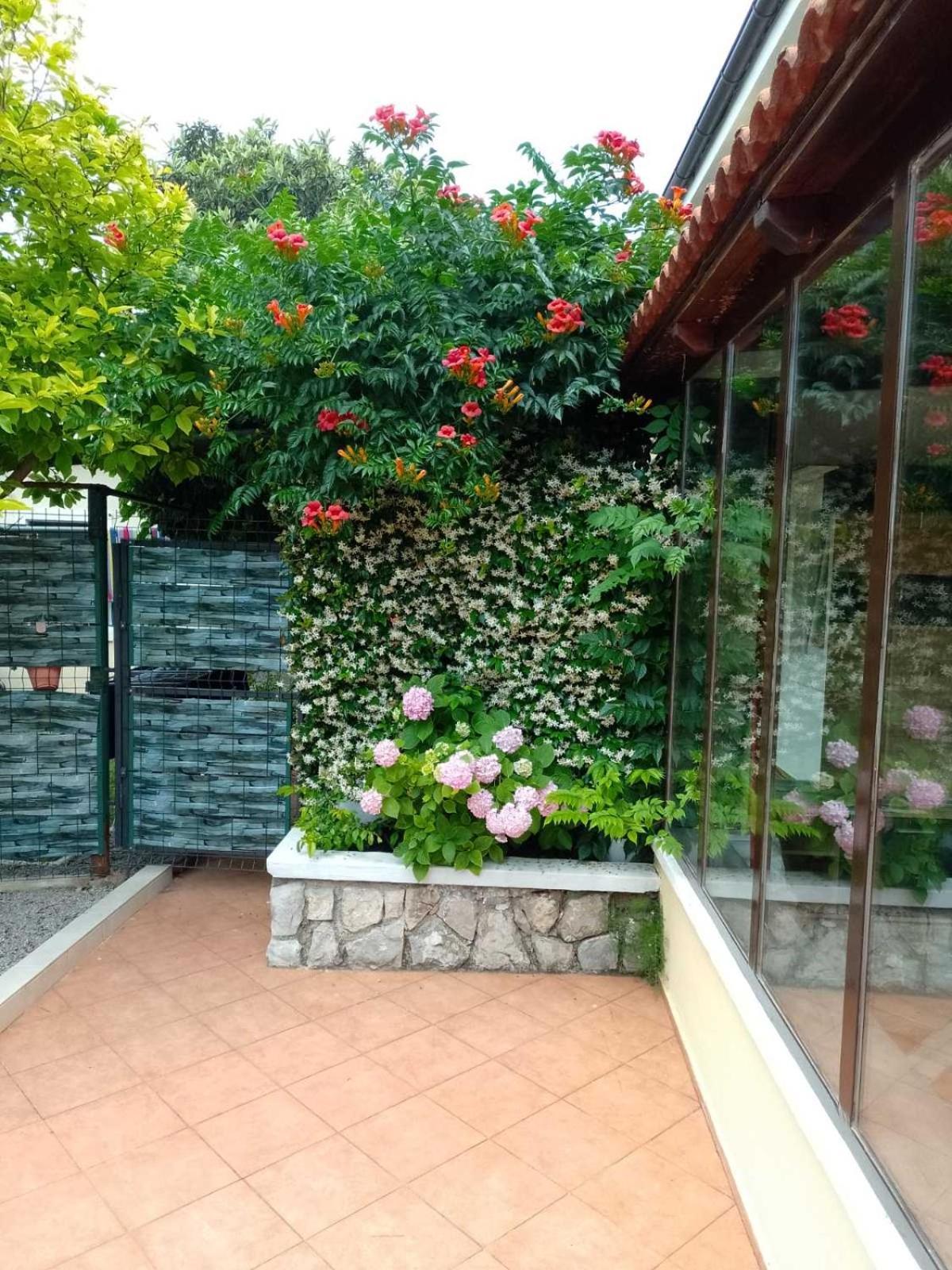 Apartment Ela, Kostrena Rijeka Εξωτερικό φωτογραφία